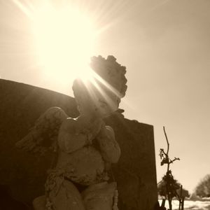 Meet your Posher, Candice